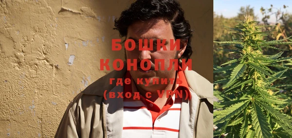 прущие грибы Корсаков