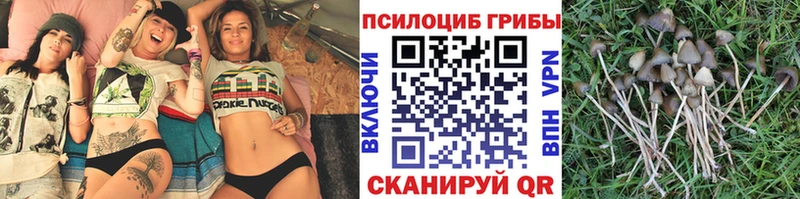 Псилоцибиновые грибы MAGIC MUSHROOMS  Курчатов 