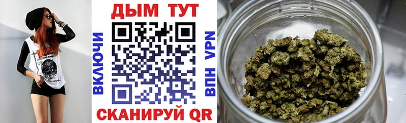 купить наркоту  Курчатов  Шишки марихуана ГИДРОПОН 